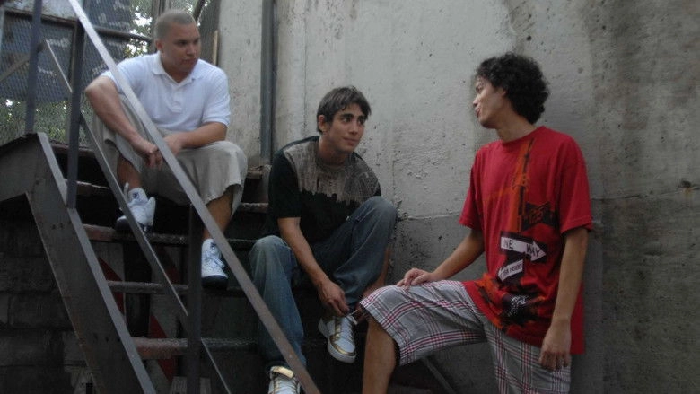 Falling Awake (2010)