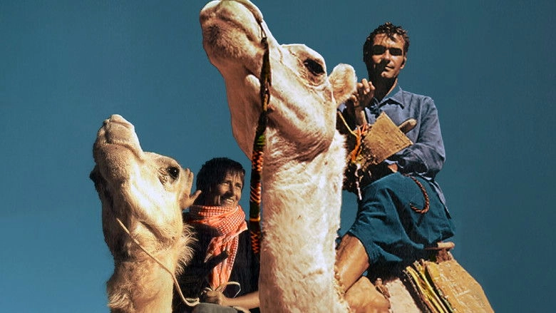 Rendez-Vous Nomade, Le Chemin D'Odette Et Jean-Louis Bernezat (2006)