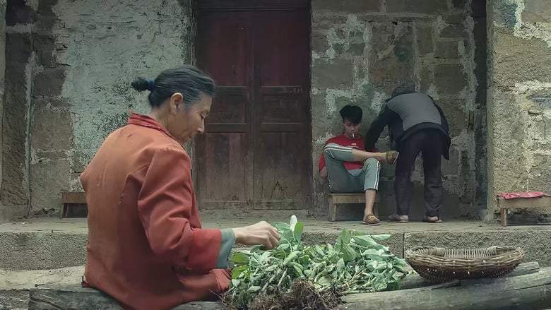 Shui Xi Zhi Lian (2018)