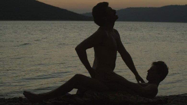 Stranger By The Lake (2013)