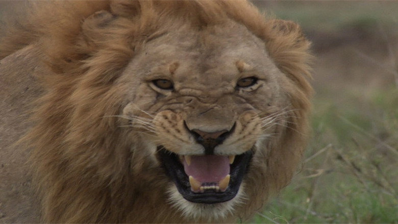 Darwin Is Here! New African Legend (2019)