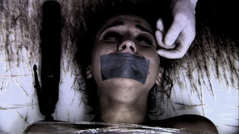 In The Market (2009)