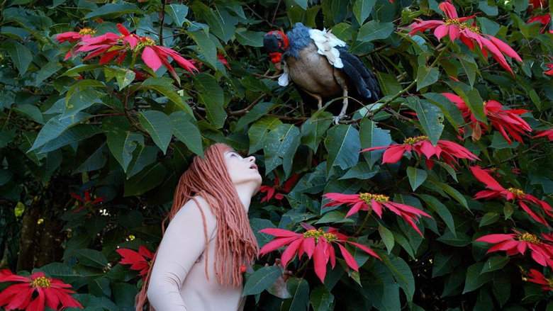 The Diaries Of Adam And Eve (2025)