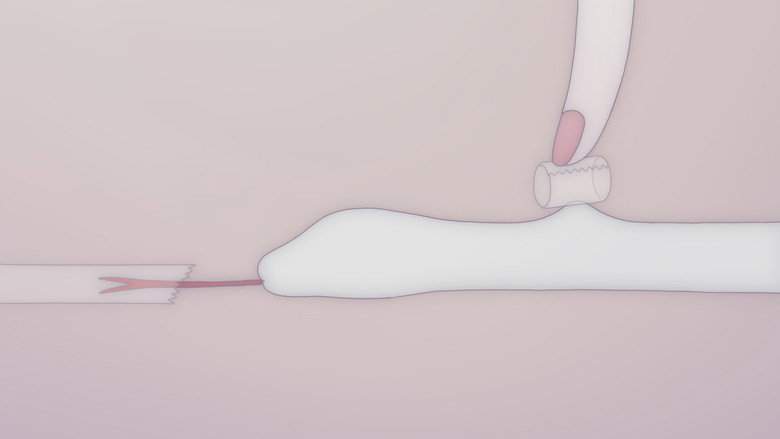 Anxious Body (2021)