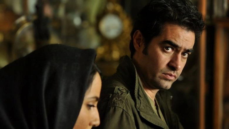 Parallel Shadows (2016)