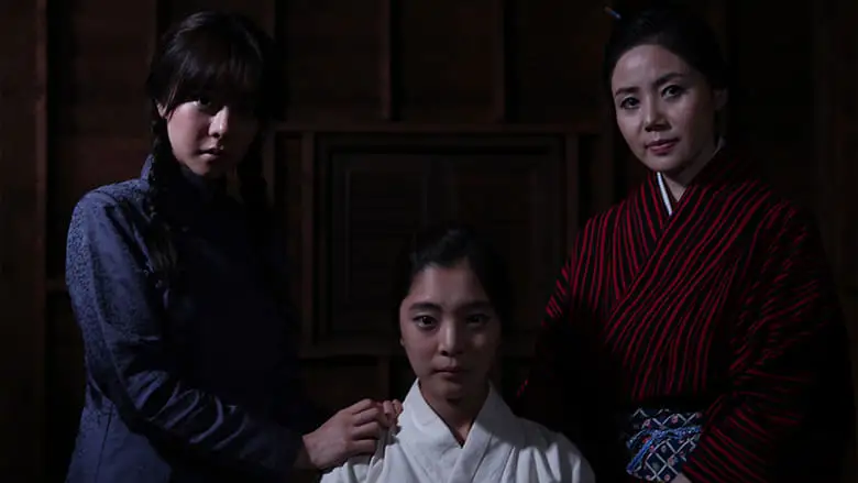 The Last Comfort Women (2015)