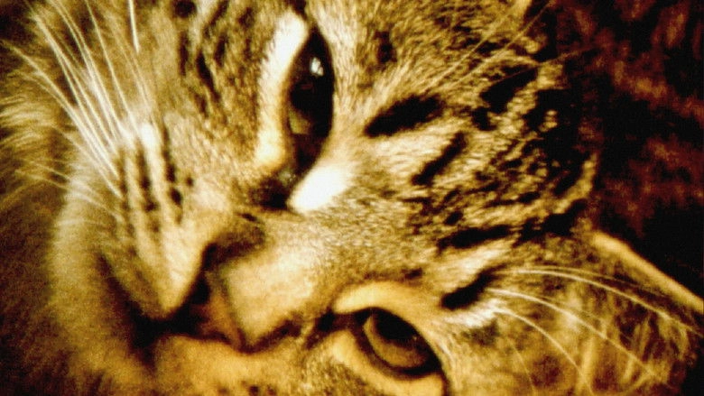 Hours For Jerome (1982)