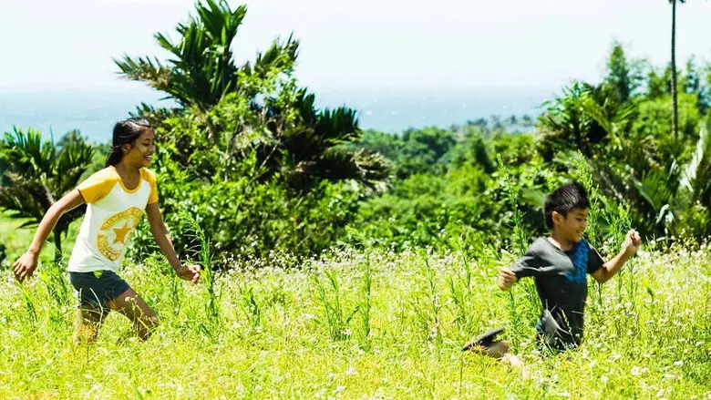 Wawa No Cidal (2015)