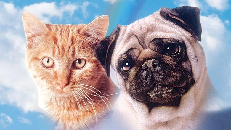 The Adventures Of Milo And Otis (1986)