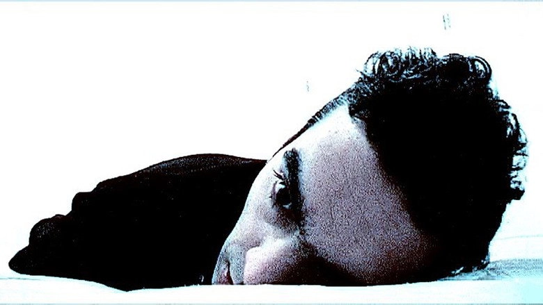 T2 Quarto Andar (2004)
