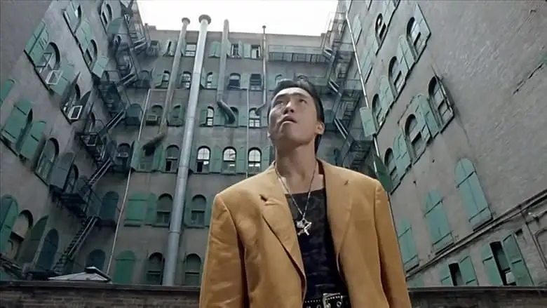 Guns Of Dragon (1993)
