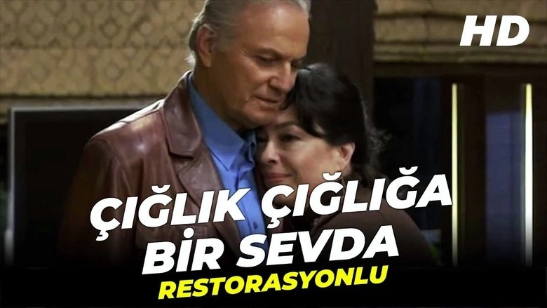 Ciglik Cigliga Bir Sevda (2010)