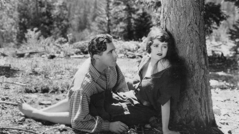 The Shepherd Of The Hills (1928)