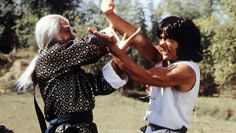 The Fearless Hyena (1979)