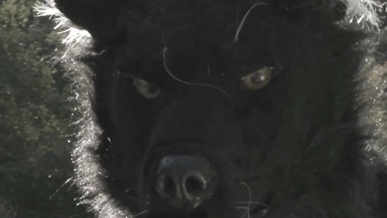 Dogman 2: The Wrath Of The Litter (2014)