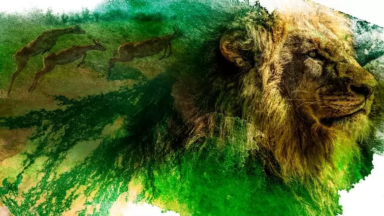 Okavango: River Of Dreams - Director's Cut (2020)