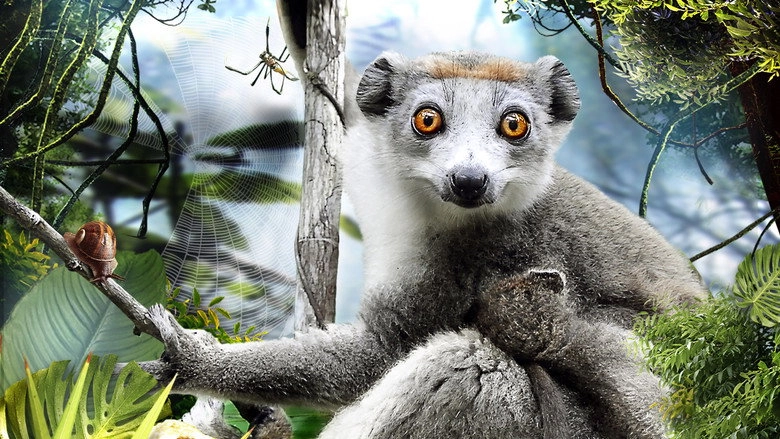 Madagascar 3D (2013)