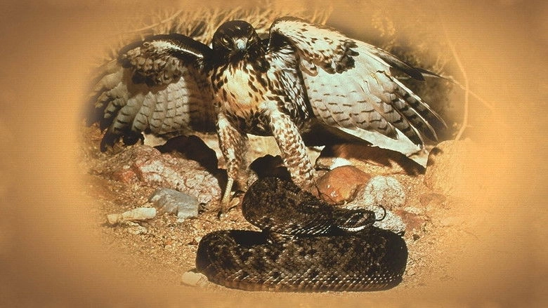 The Best Of Walt Disney's True-Life Adventures (1975)