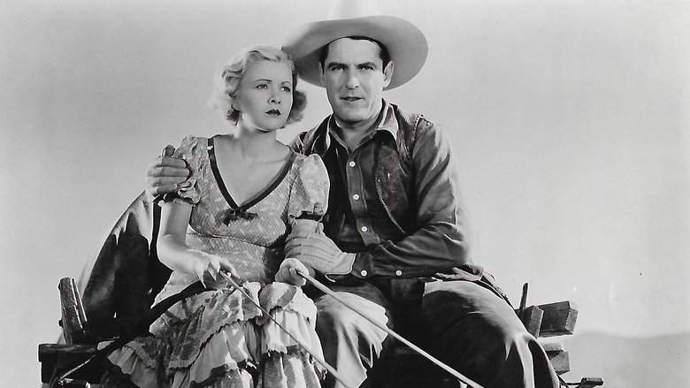 The Trail Drive (1933)
