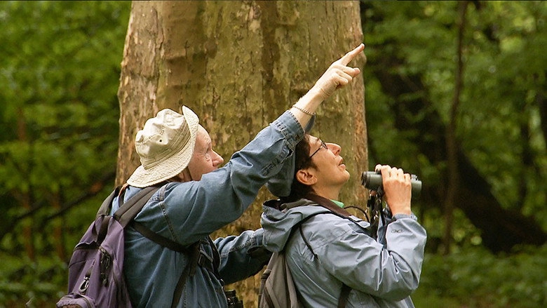 Birders: The Central Park Effect (2012)