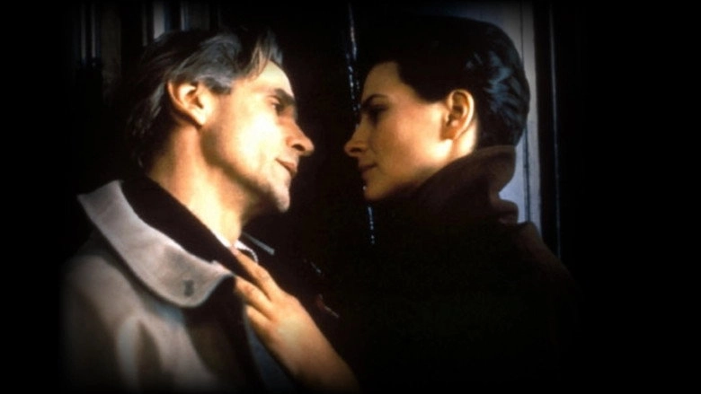 Damage (1992)