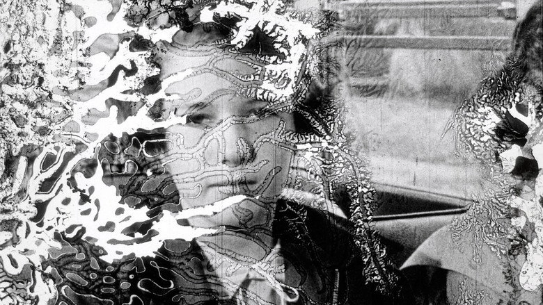 Decasia (2002)
