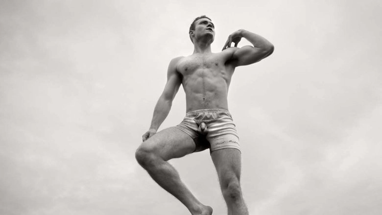 David, In Brief (2016)