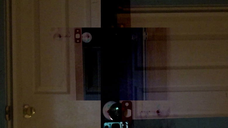 What Was It Supposed To Be Like? (2017)