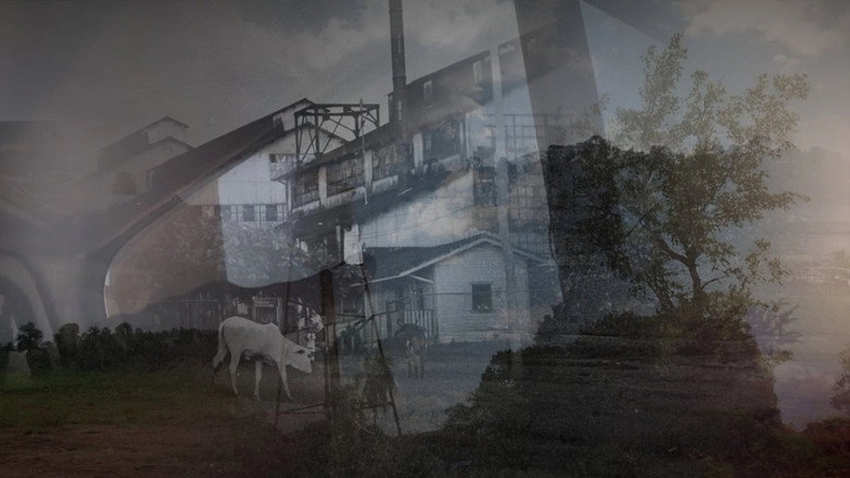 Fordlandia Panacea (2025)