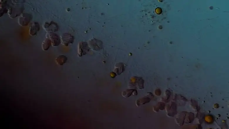 12 Kilometers (2016)