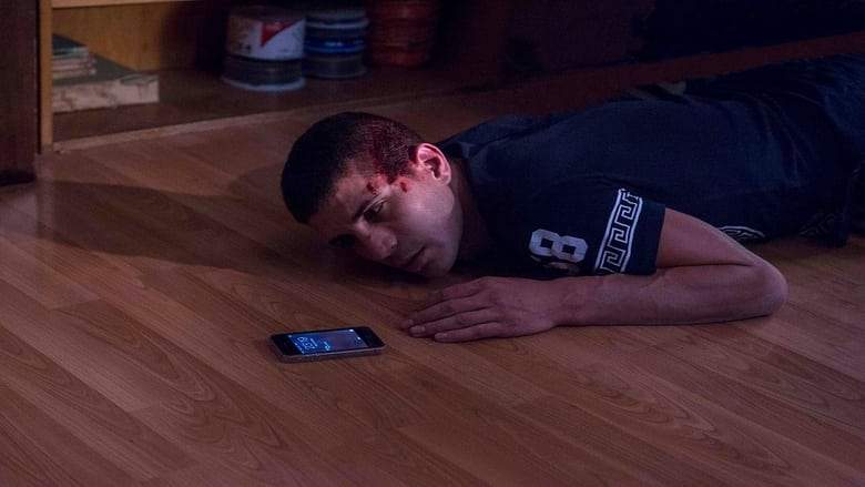 Heads And Tails (2019)