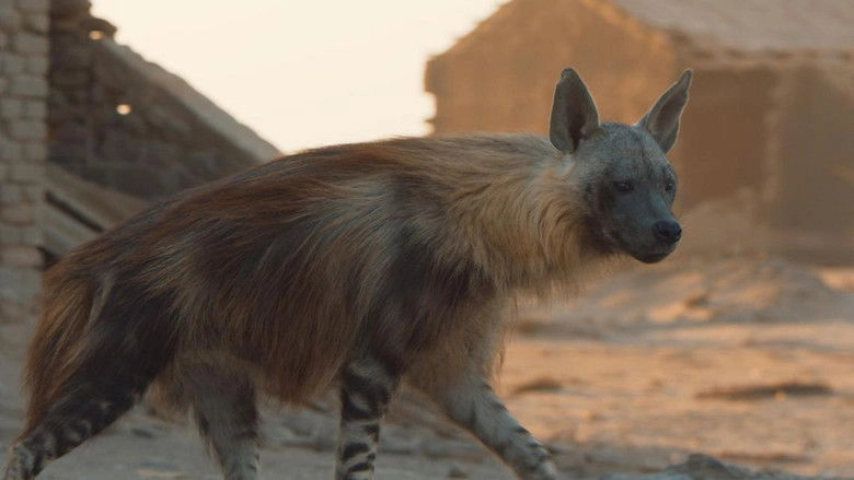 A Hyena Like No Other (2021)