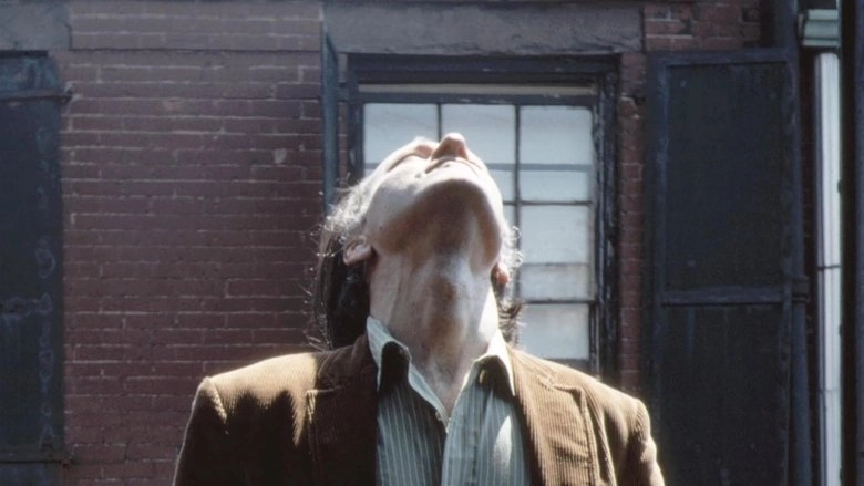 Jonas Mekas In Kodachrome Days (2009)