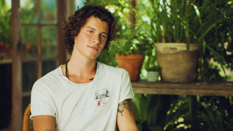 Shawn Mendes: The Wonder Interview (2020)
