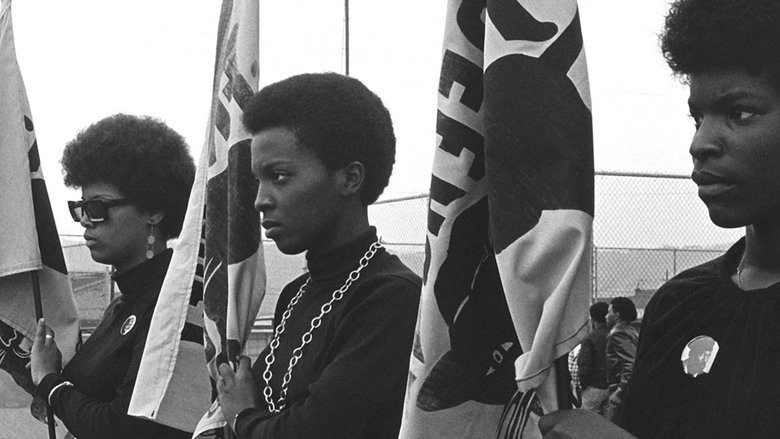 The Black Panthers: Vanguard Of The Revolution (2015)