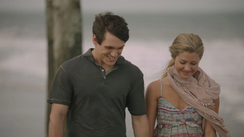 The Perfect Summer (2013)