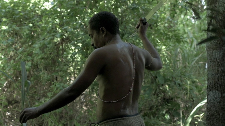 IMPETUS (2019)