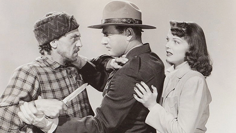 Men Of The Timberland (1941)