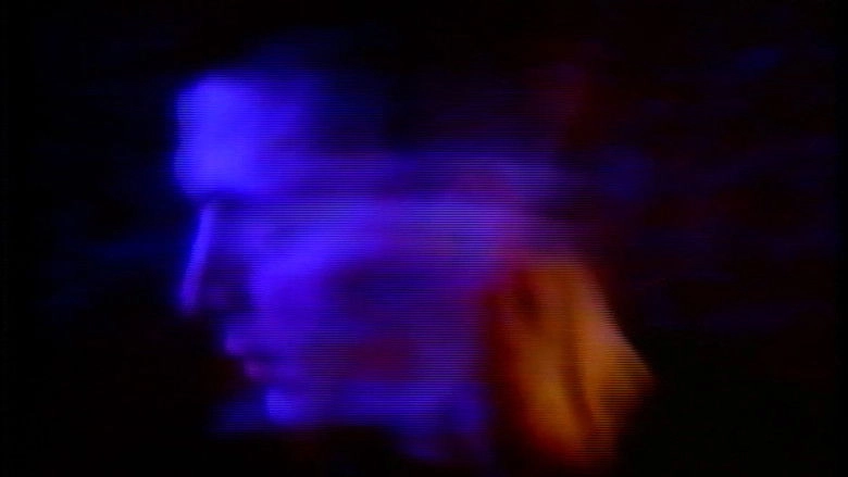 Smell The Flowers While You Can (1994)