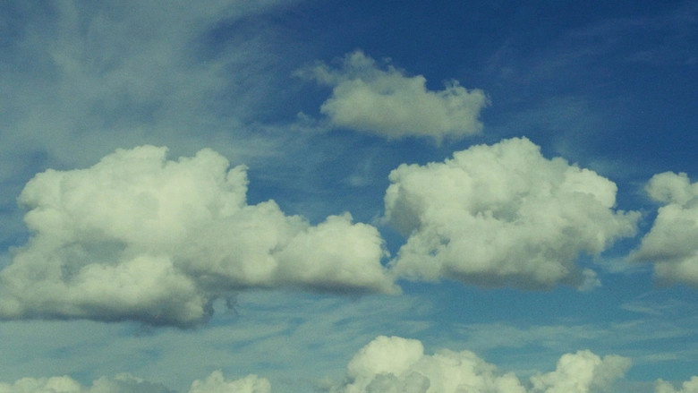 Live A Little (2024)