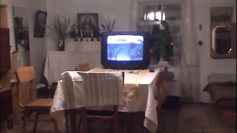 Teiceja Anna Scemelinska (2008)