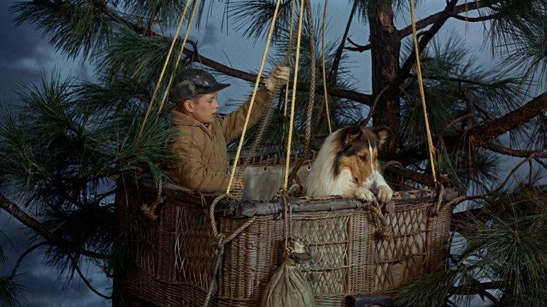 Lassie's Great Adventure (1963)