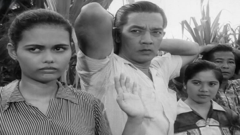 The Moises Padilla Story (1961)