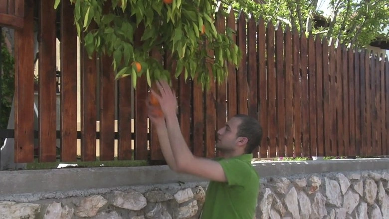 Oranges (2009)