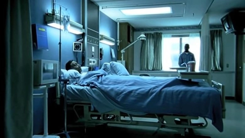 Turnipseed (2009)