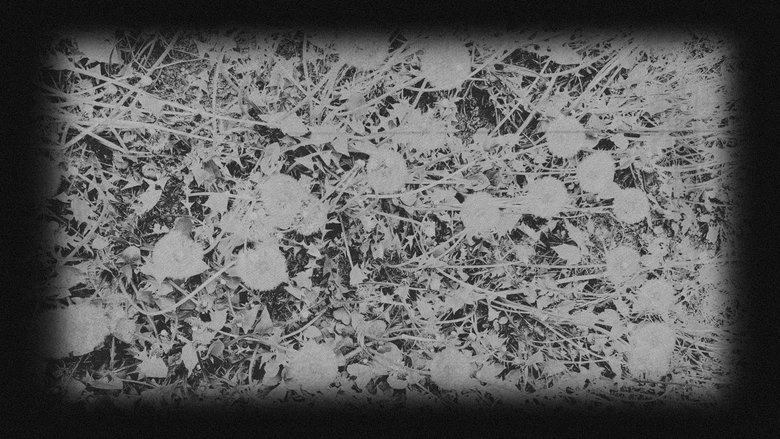 In Bloom | A Ghost Story (2024)