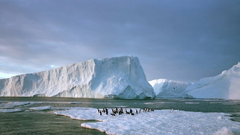 Antarctica 3D: On The Edge (2014)