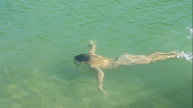 Country Queer (2026)