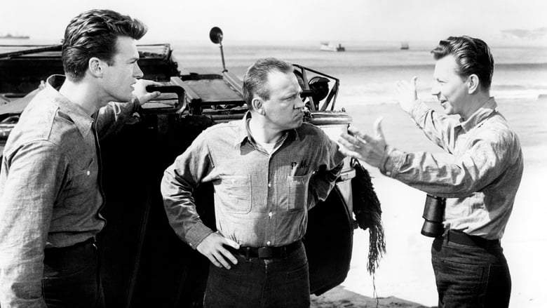 Francis In The Navy (1955)