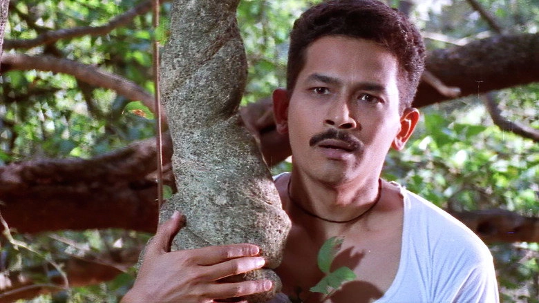 Devrai (2004)